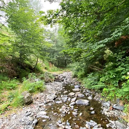 Planinska Kuca Kapetan Markovic Holiday home