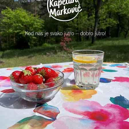 Planinska Kuca Kapetan Markovic Holiday home